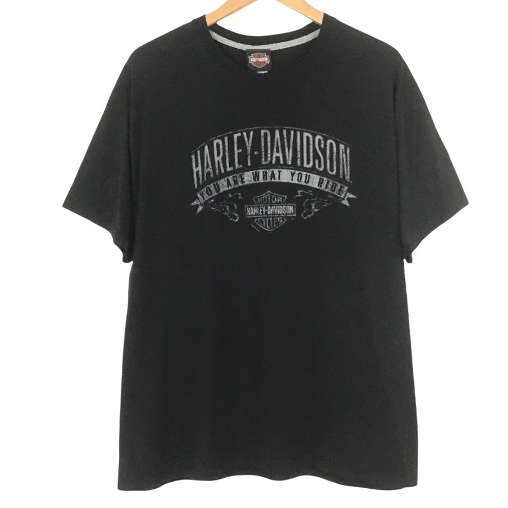 Harley-Davidson Motorcycles T-Shirt Mens Size XL You Are What You Ride Destin FL